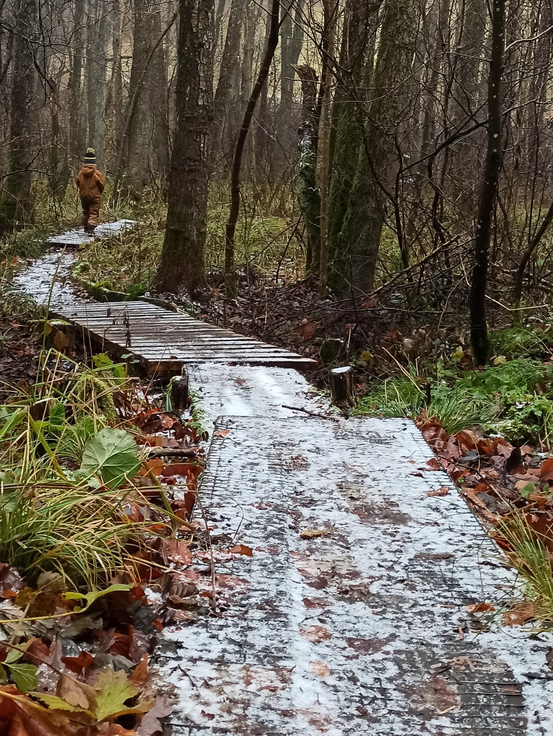 Wooden walkway