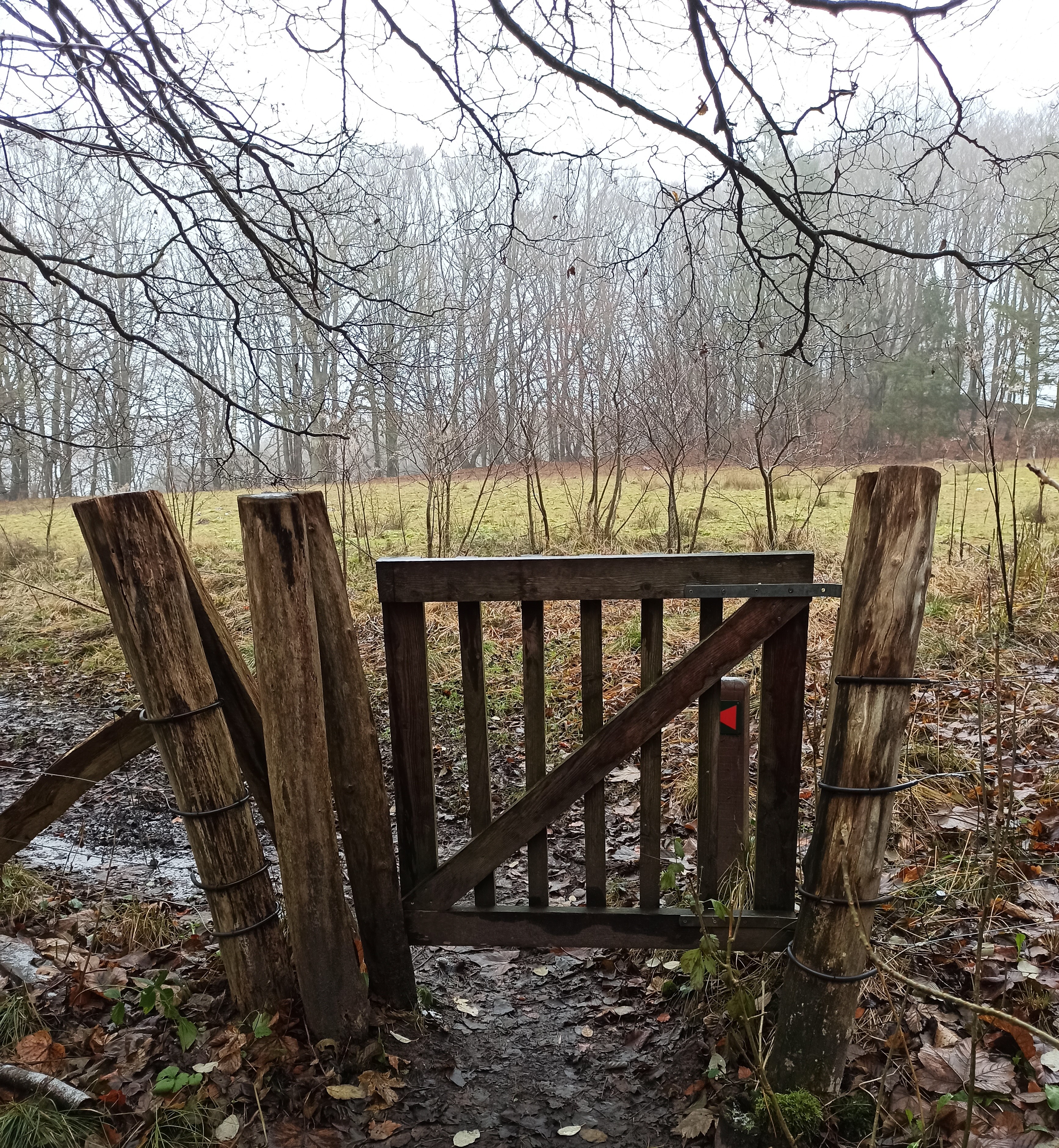 Wooden gate