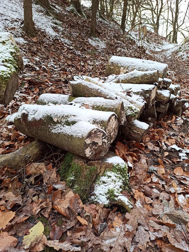 Logs